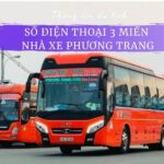 Đón xe Phương Trang đi Nha Trang du lịch và nghỉ dưỡng 